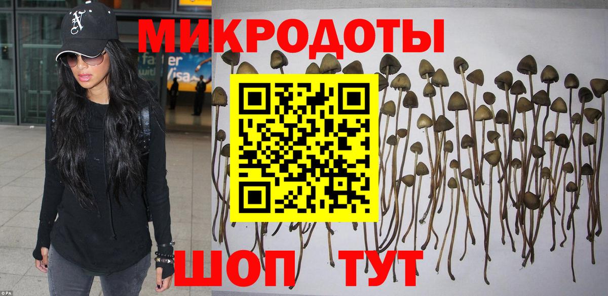 Псилоцибиновые грибы ЛСД Нефтекамск