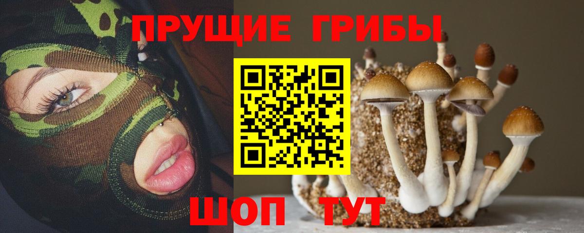 Нефтекамск  Галлюциногенные грибы Psilocybine cubensis  Вход с VPN 